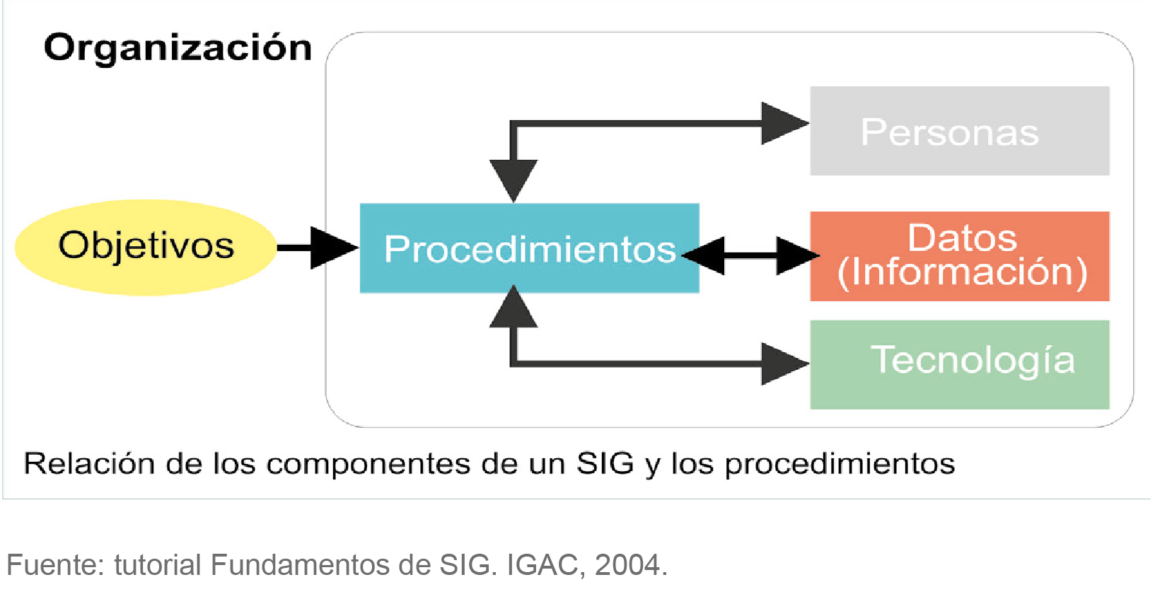 procedimientos