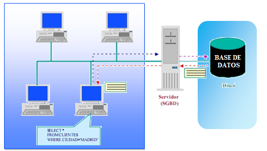 base_datos